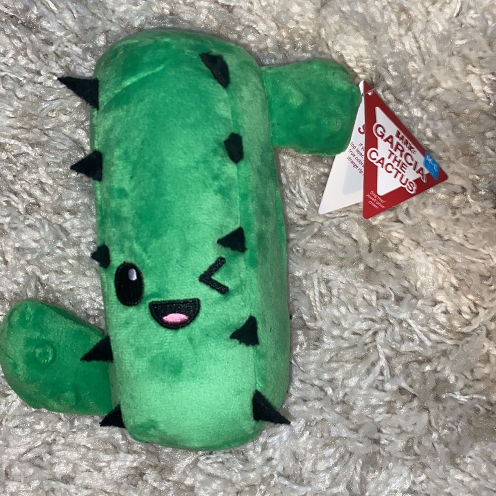 Cactus 🌵 toy for pups!